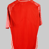 Great Britain 2005-06  Training Kit  (L)