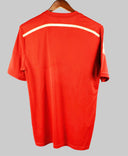 Spain 2014-15  Home Kit (L)