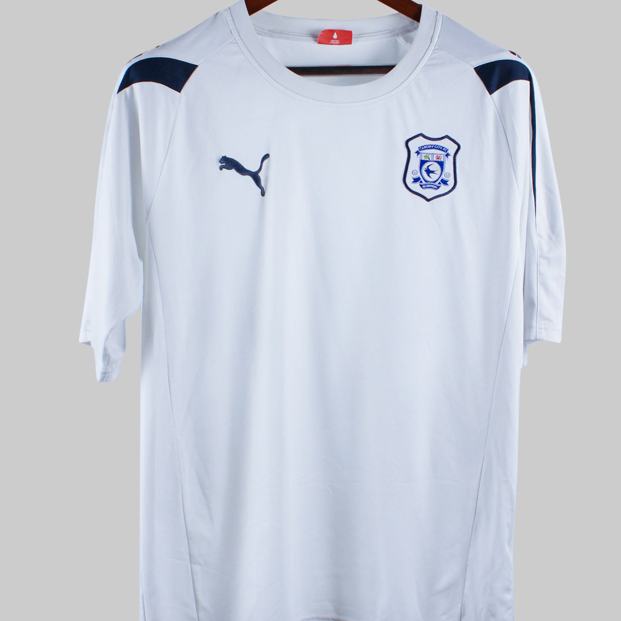 Cardiff City 2010-11  Training Kit  (L)