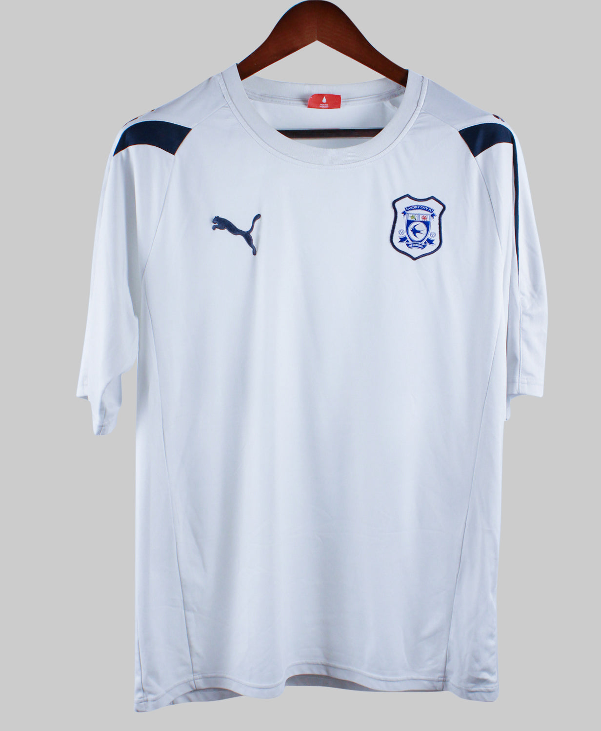Cardiff City 2010-11  Training Kit  (L)