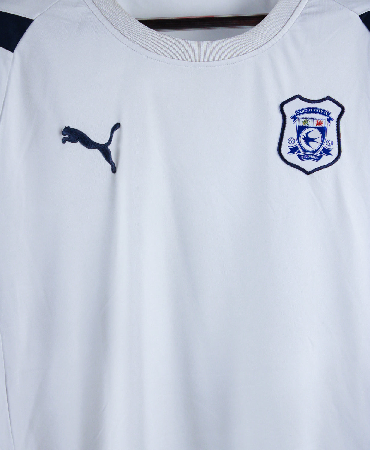 Cardiff City 2010-11  Training Kit  (L)