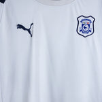 Cardiff City 2010-11  Training Kit  (L)
