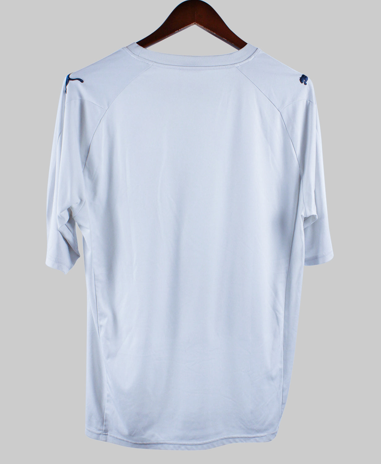 Cardiff City 2010-11  Training Kit  (L)