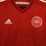 Denmark 2014 Home Kit (L)