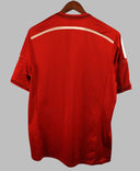 Denmark 2014 Home Kit (L)
