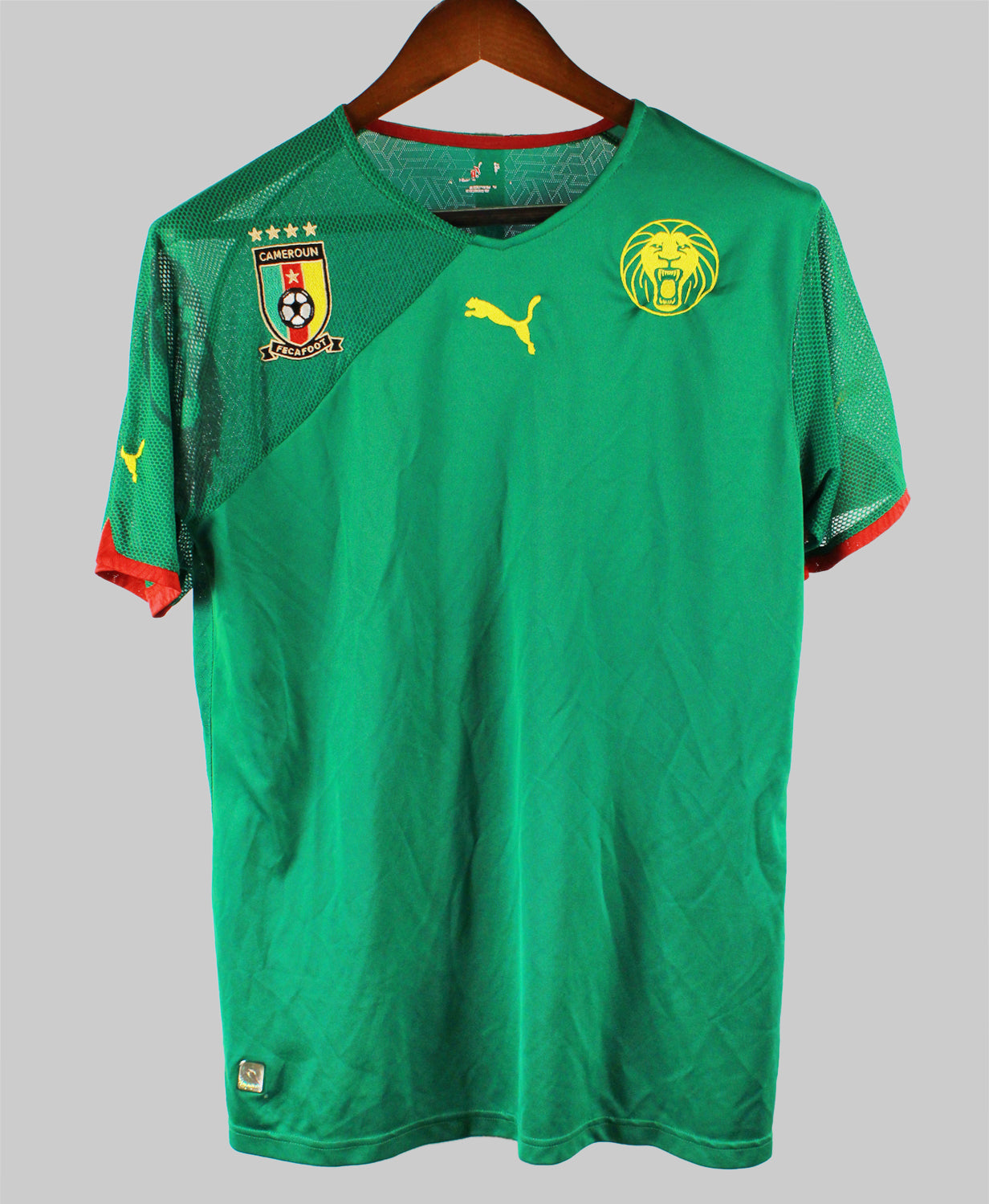 Cameroon 2010-11  Home Kit (M)