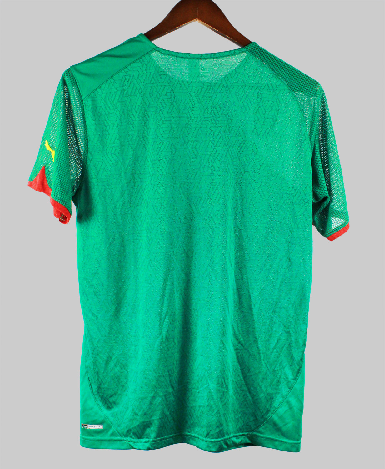 Cameroon 2010-11  Home Kit (M)