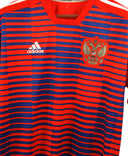 Russia 2018 Pre Match Trainer Kit (M)