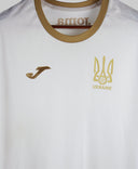 Ukraine 2021-22 Trainer Kit (XL)