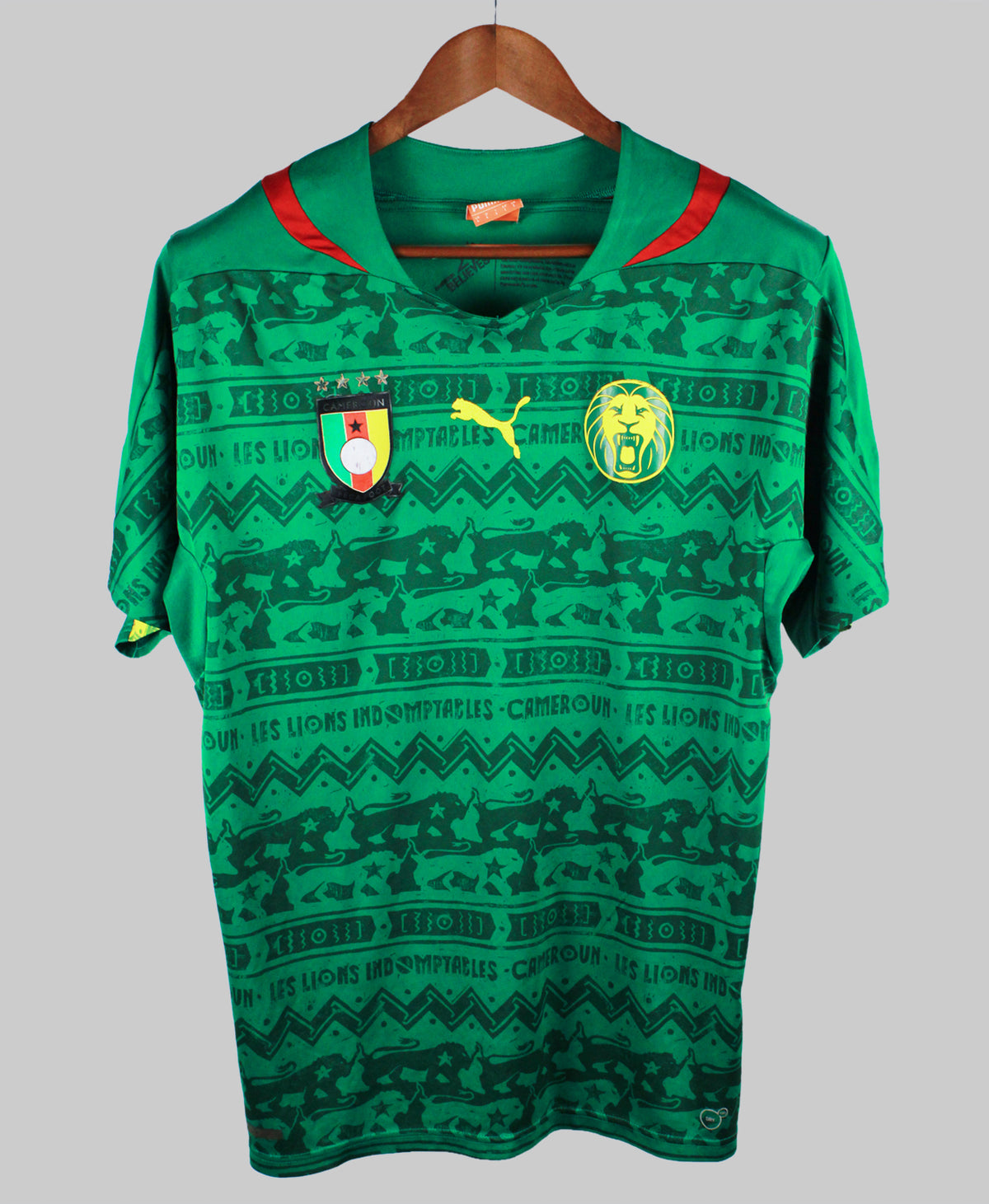 Cameroon 2014-15  Home Kit (L)