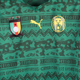 Cameroon 2014-15  Home Kit (L)