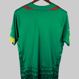 Cameroon 2014-15  Home Kit (L)