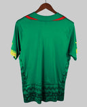 Cameroon 2014-15  Home Kit (L)
