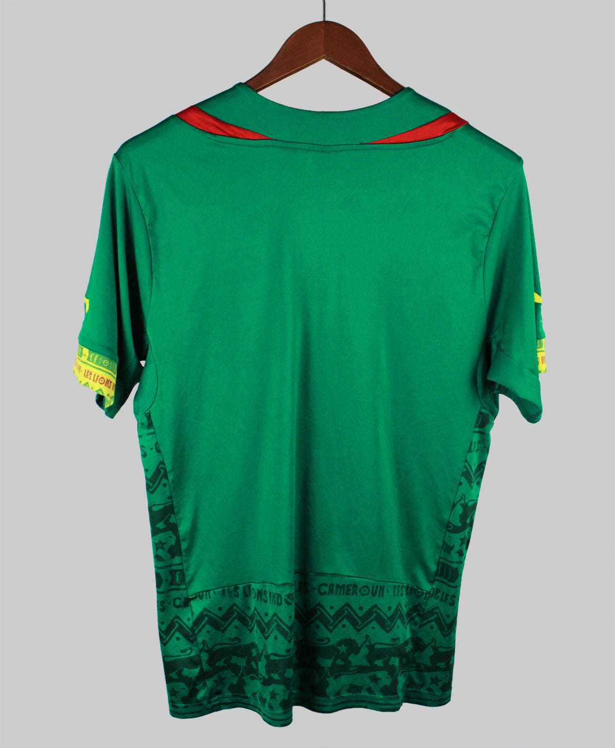 Cameroon 2014-15  Home Kit (L)