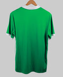 Northern Ireland 2018-19  Home Kit (L)