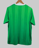 Northern Ireland 2010-11  Home Kit (L)