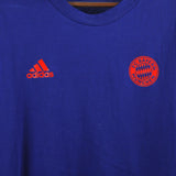 Bayern Munich 2021-22  Training Second Jersey Kit (L)