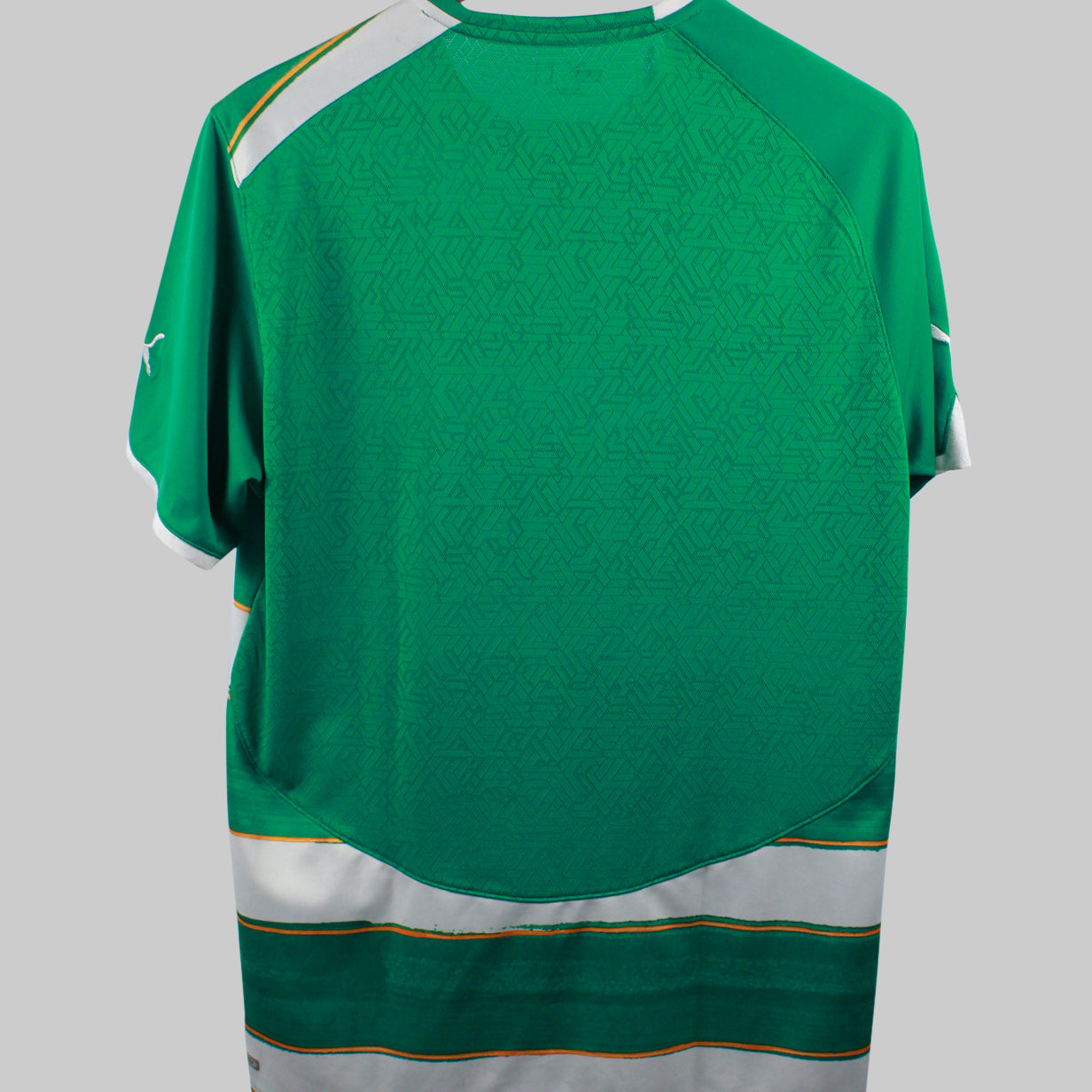 Ivory Coast 2010 Away Kit (L)