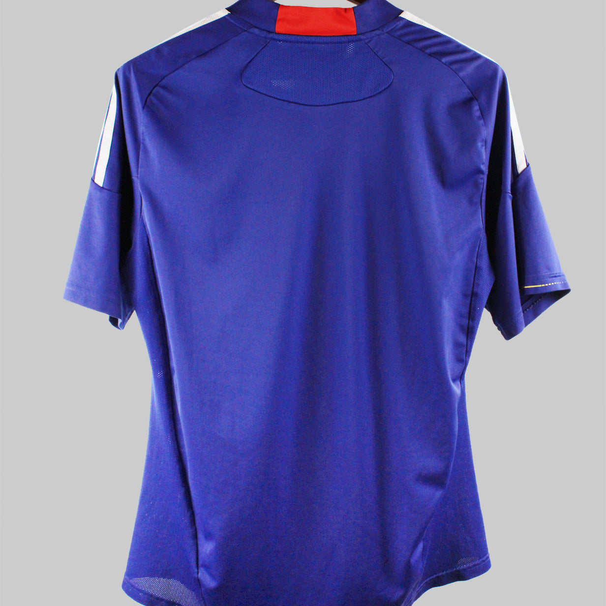 Japan 2010 Home Kit (L)