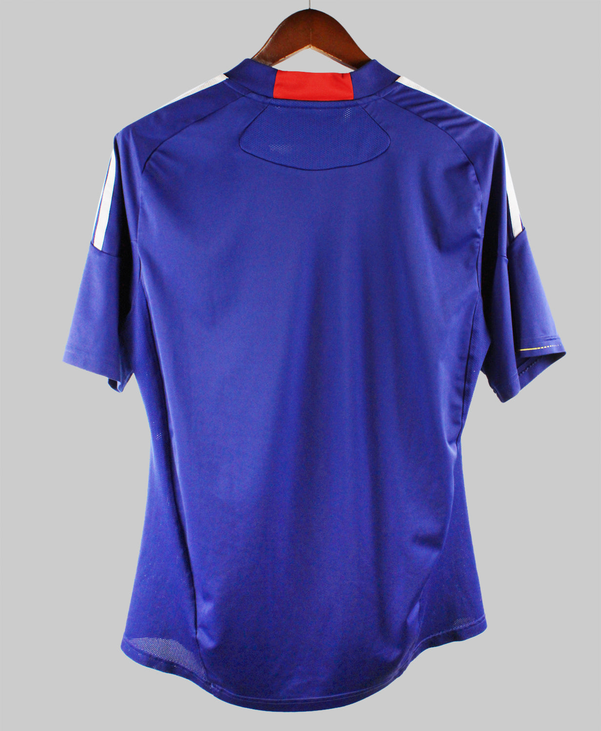 Japan 2010 Home Kit (L)