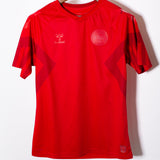 Denmark 2022 Home Kit (S)