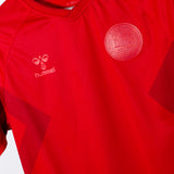 Denmark 2022 Home Kit (S)