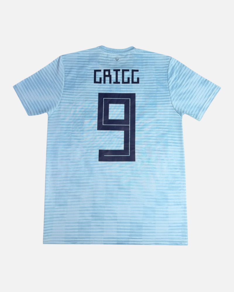 Northern Ireland 2018-19 Grigg Away Kit (Medium) - back