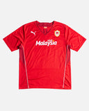 Cardiff City 2013-14 Hudson Home Kit (XL) - front