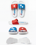 Slides