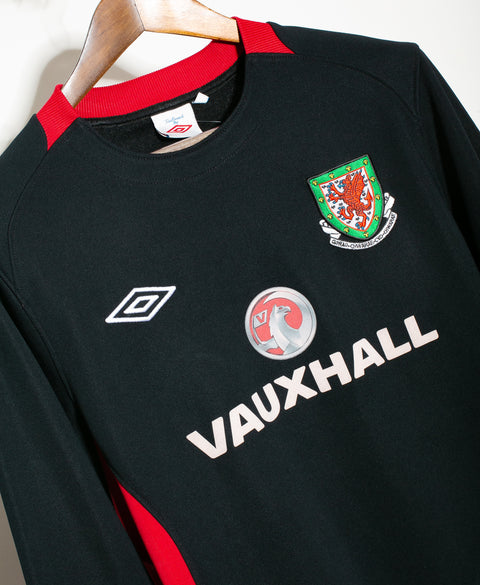 Wales Long Sleeve Training Top (L)