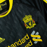 Liverpool 2010-11 Gerrard Third Kit ( S )