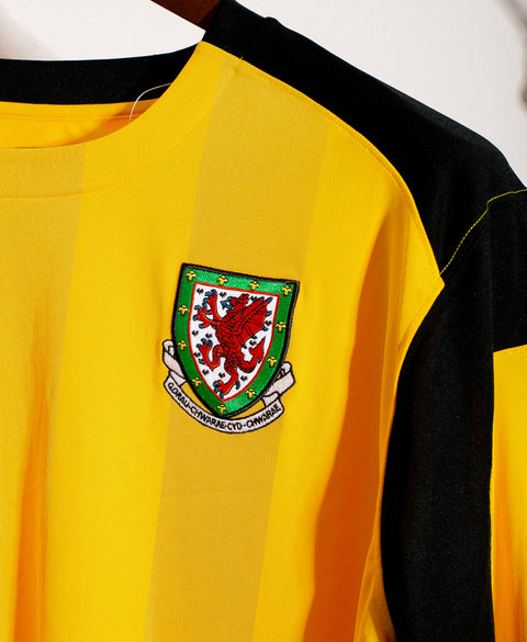 Wales 2010 GK Kit (XL)