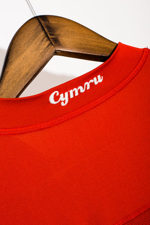 Wales 2002 Home Kit